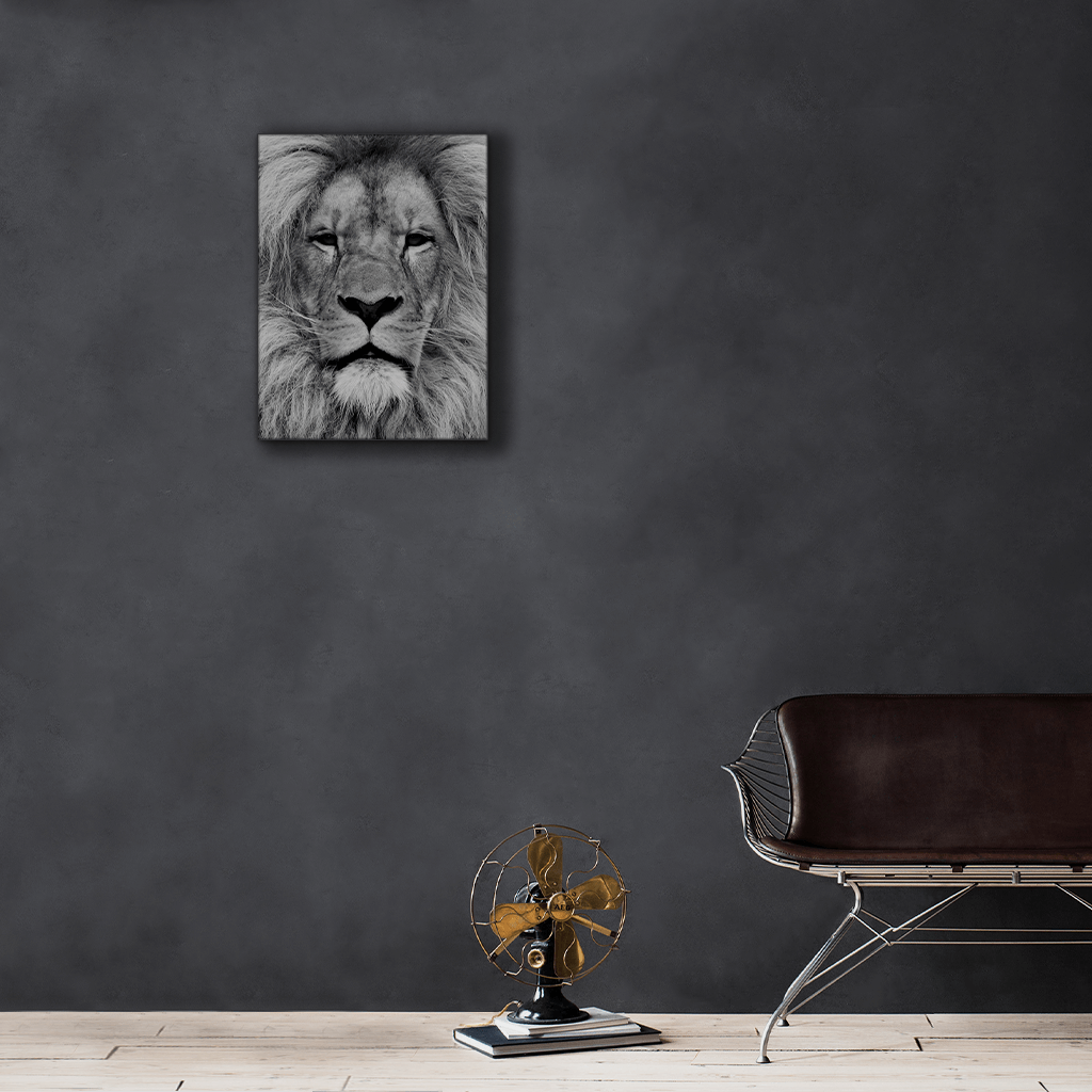 Wildlife : One
