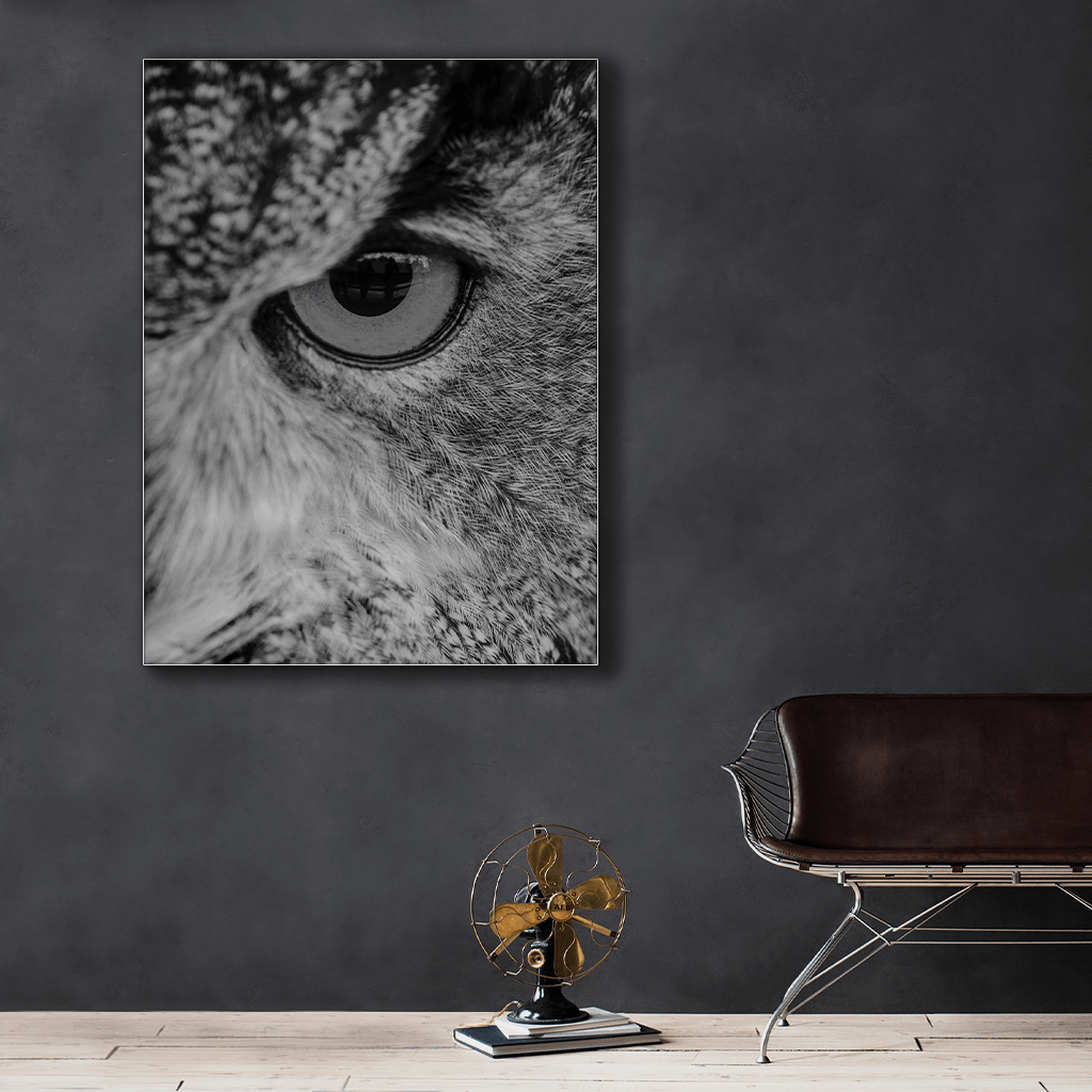 Wildlife : Three