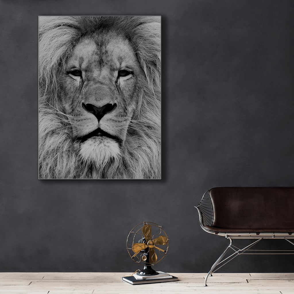 Wildlife : One