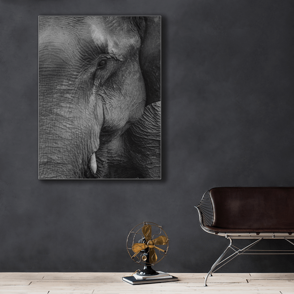 Wildlife : Two