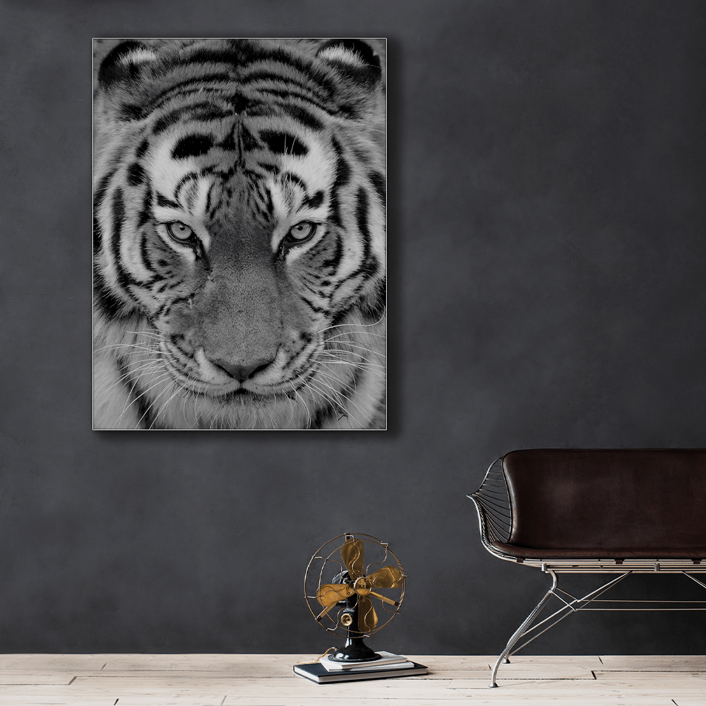 Wildlife : Four