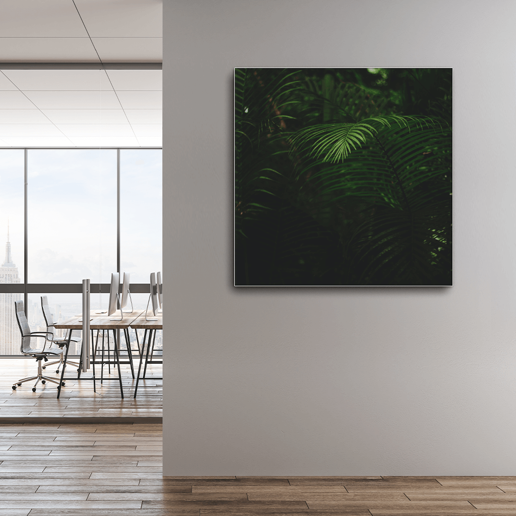 Forest : Three