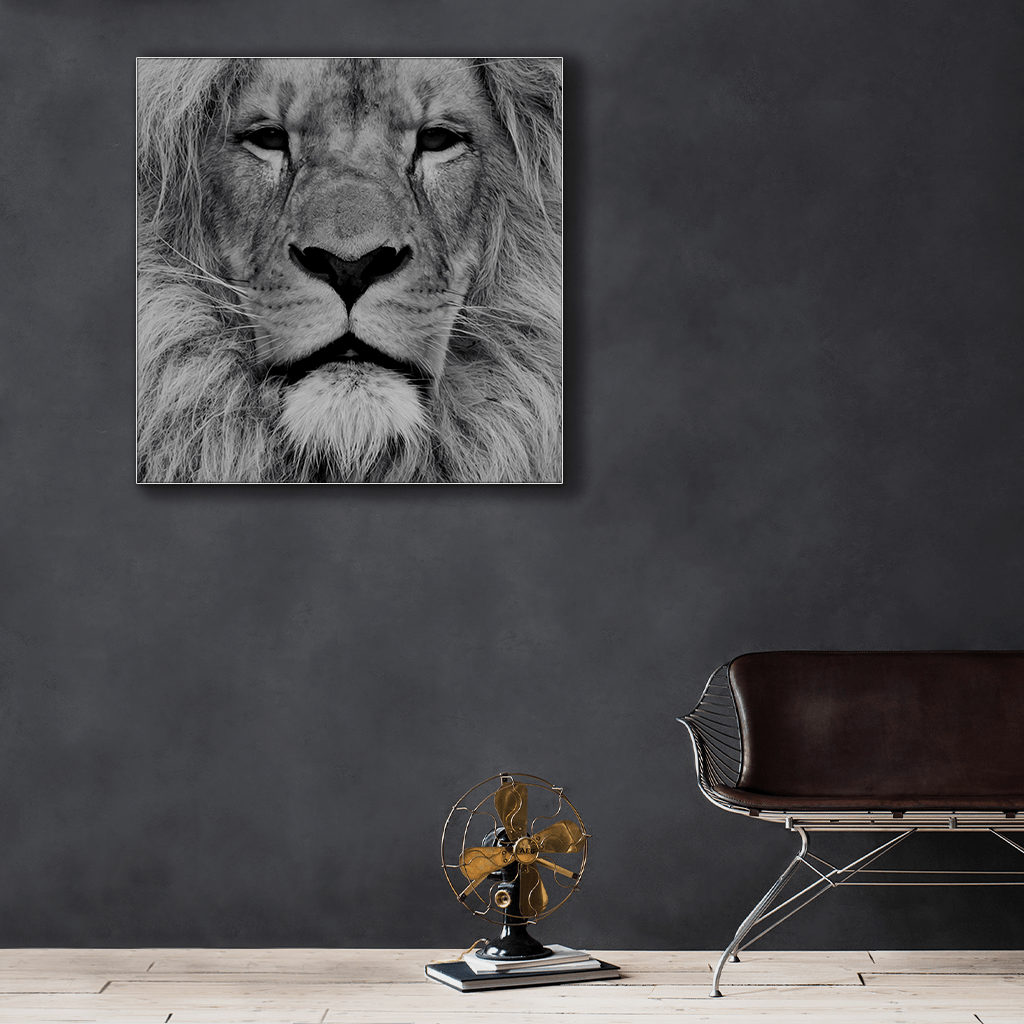 Wildlife : One