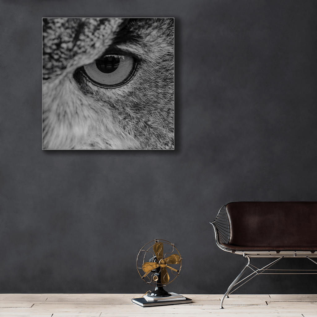 Wildlife : Three