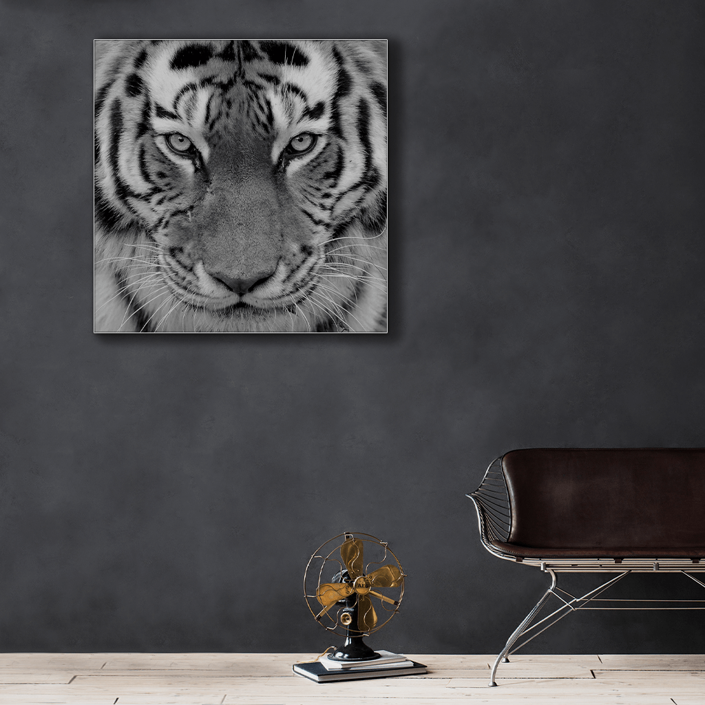 Wildlife : Four