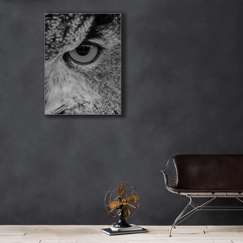 Wildlife : Three