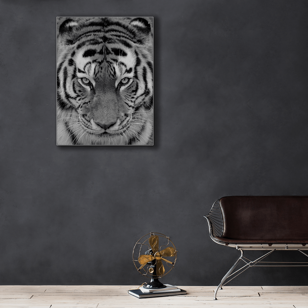 Wildlife : Four