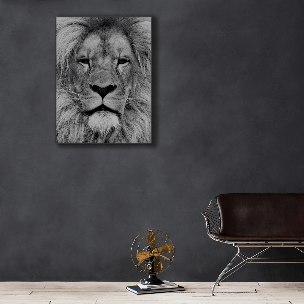 Wildlife : One