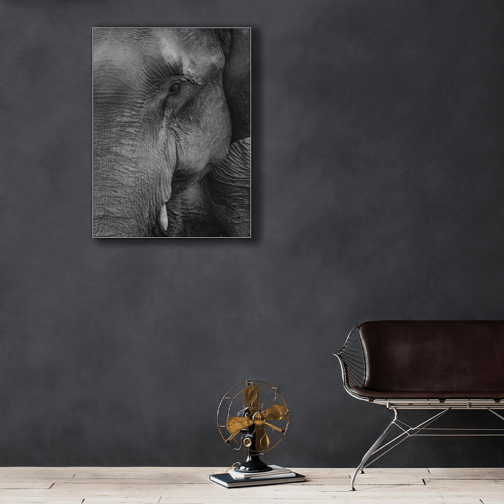 Wildlife : Two