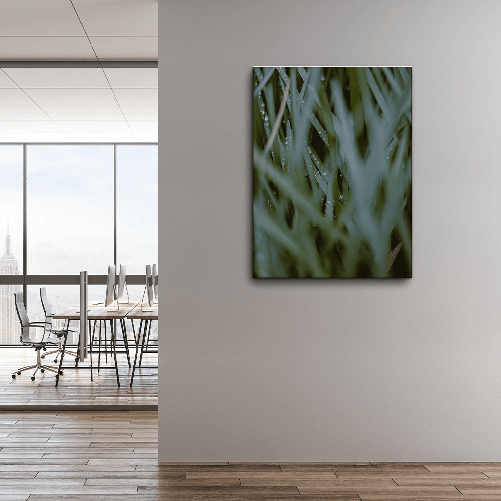 Leaves : Two