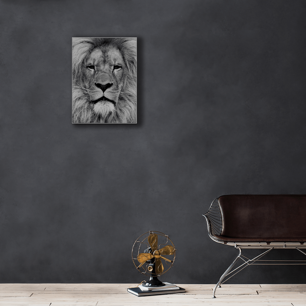 Wildlife : One