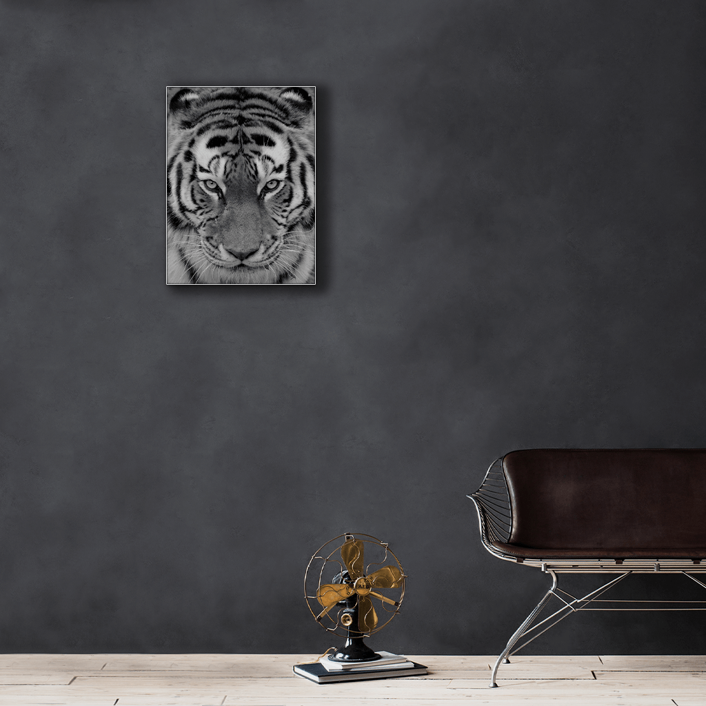 Wildlife : Four