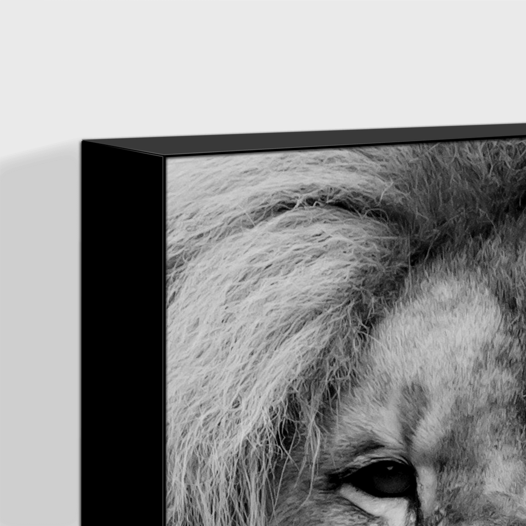 Wildlife : One
