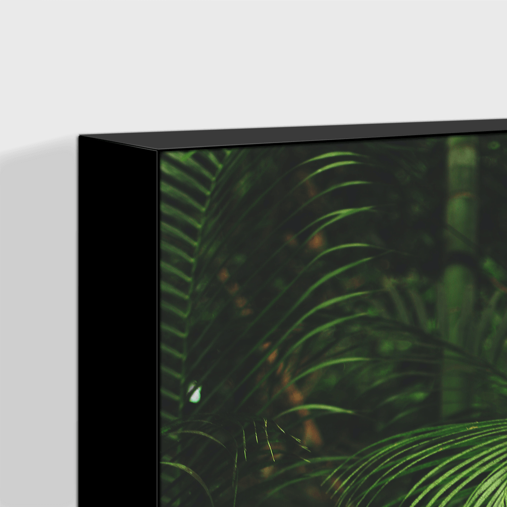 Forest : Three