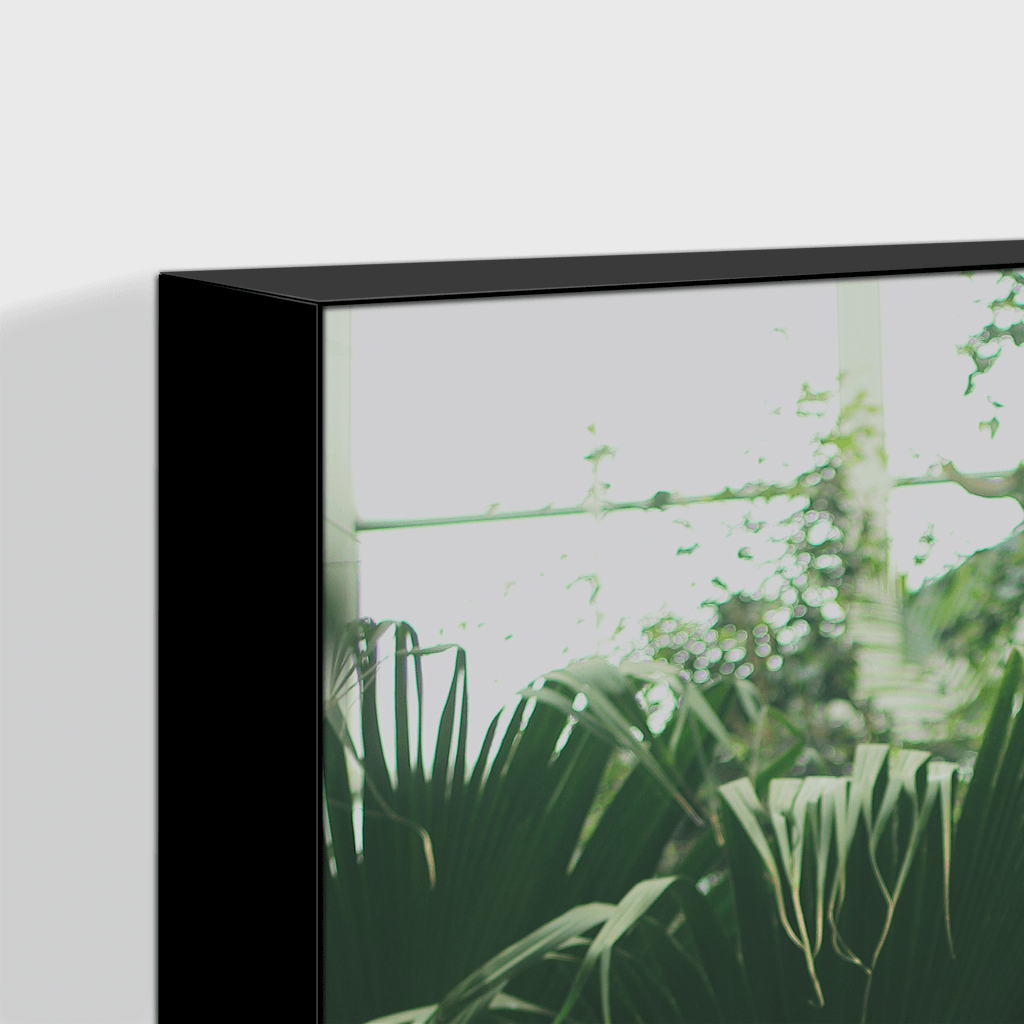 Forest : Four