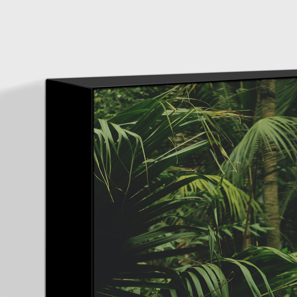 Forest : One