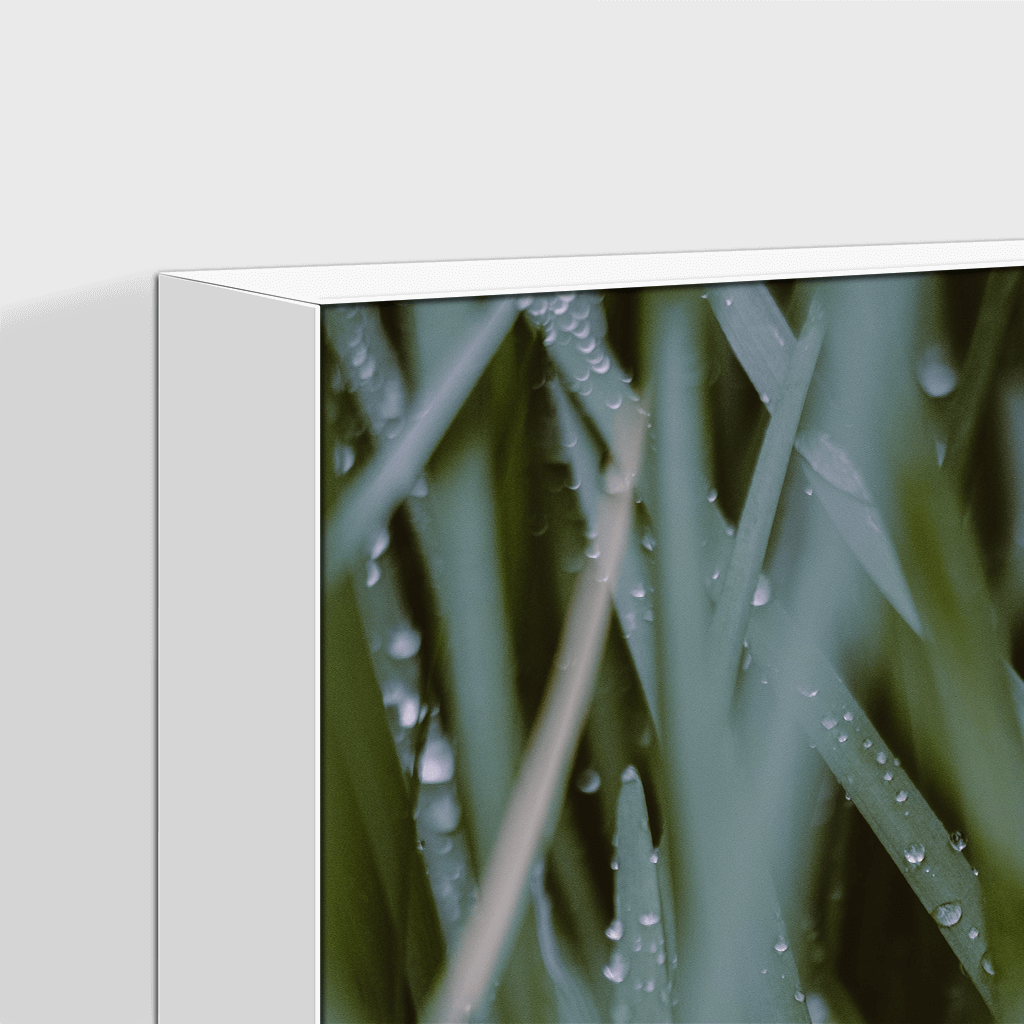 Leaves : Two
