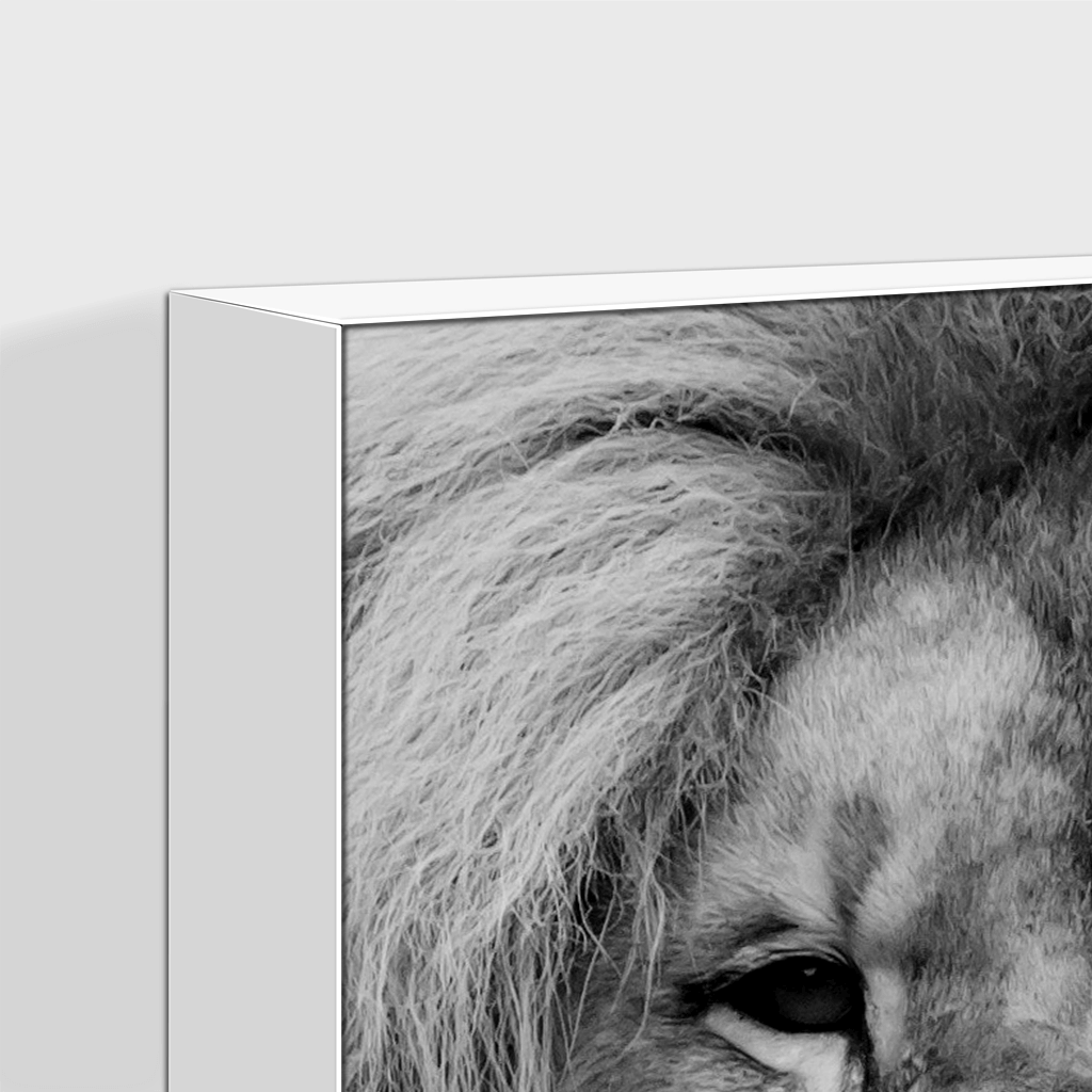Wildlife : One