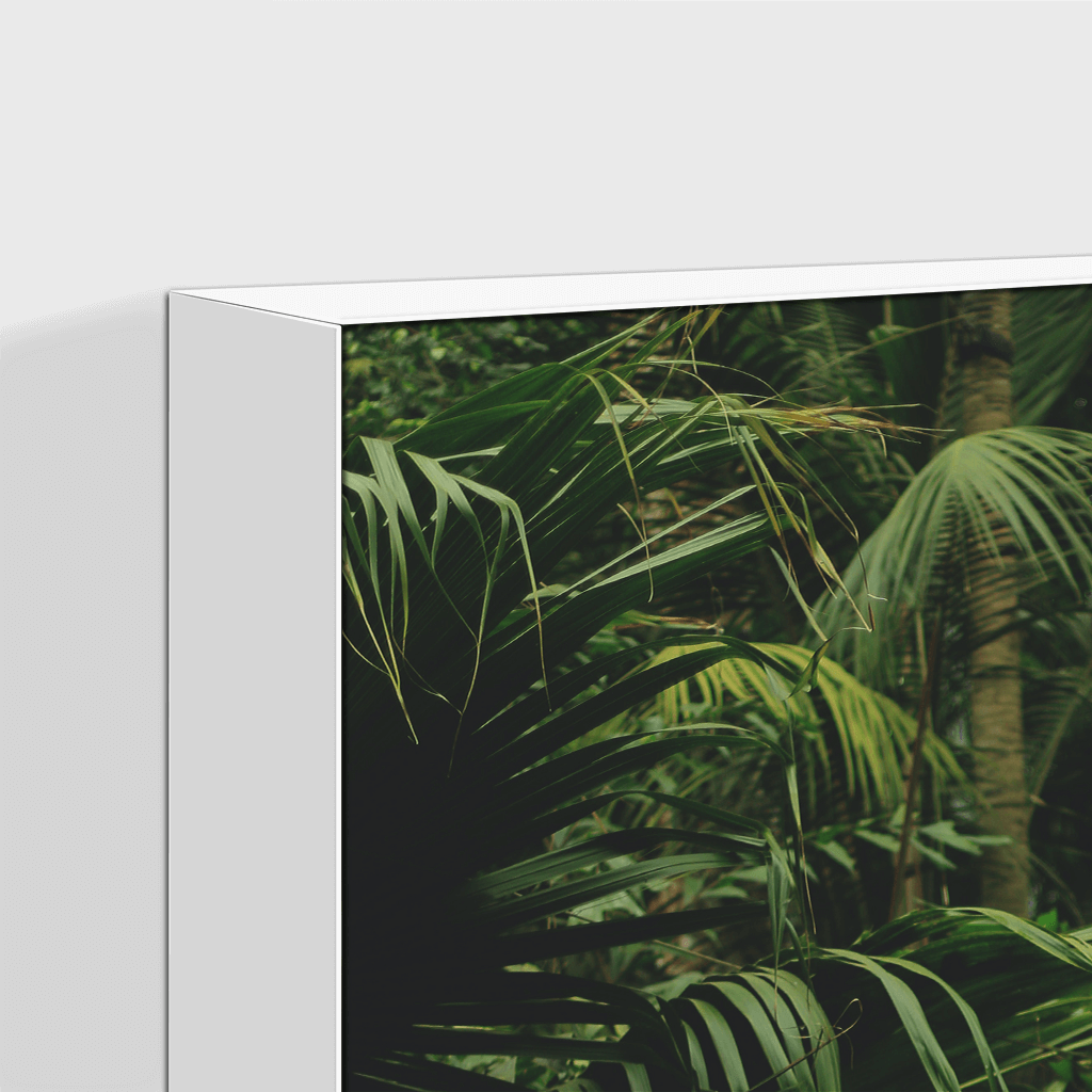 Forest : One