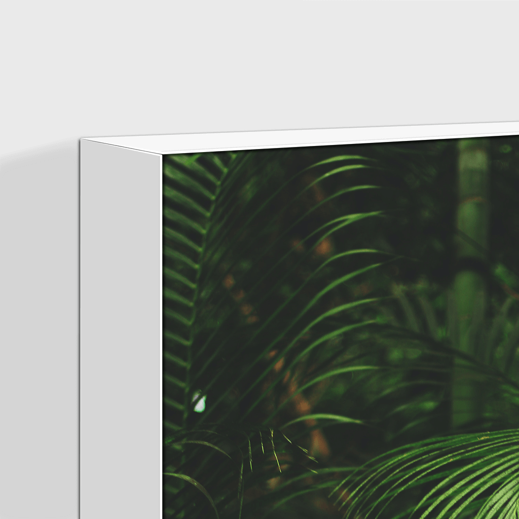 Forest : Three