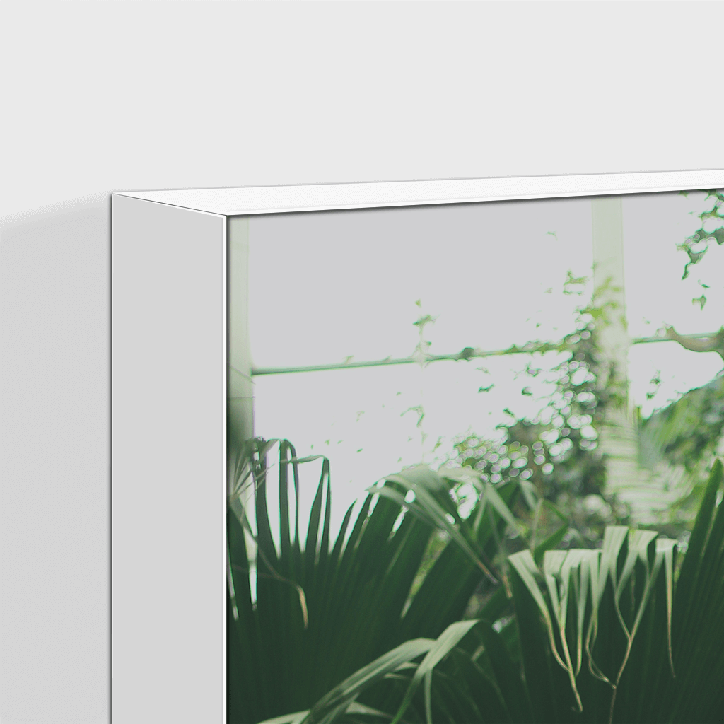 Forest : Four