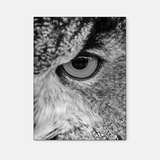 Wildlife : Three