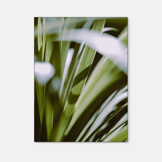 Leaves : One