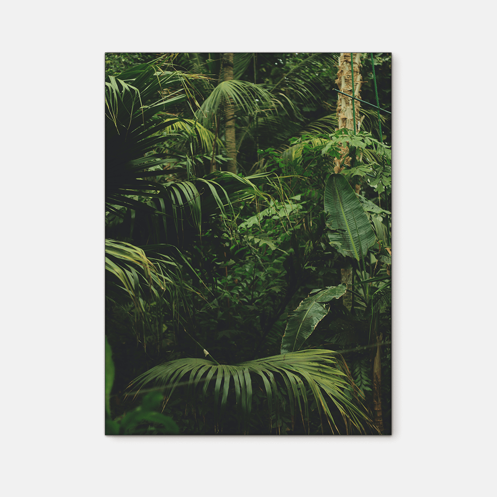 Forest : One