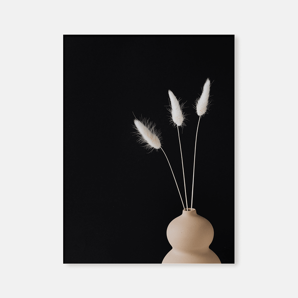 Dried flowers : Two