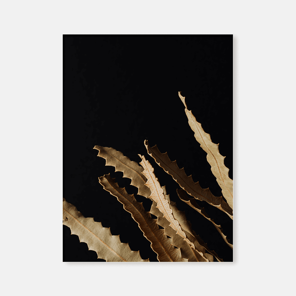 Dried flowers : Three