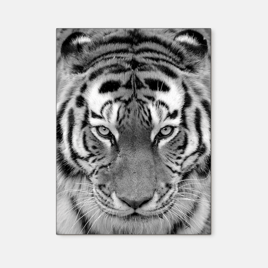 Wildlife : Four