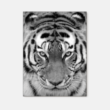 Load image into Gallery viewer, Wildlife : Four
