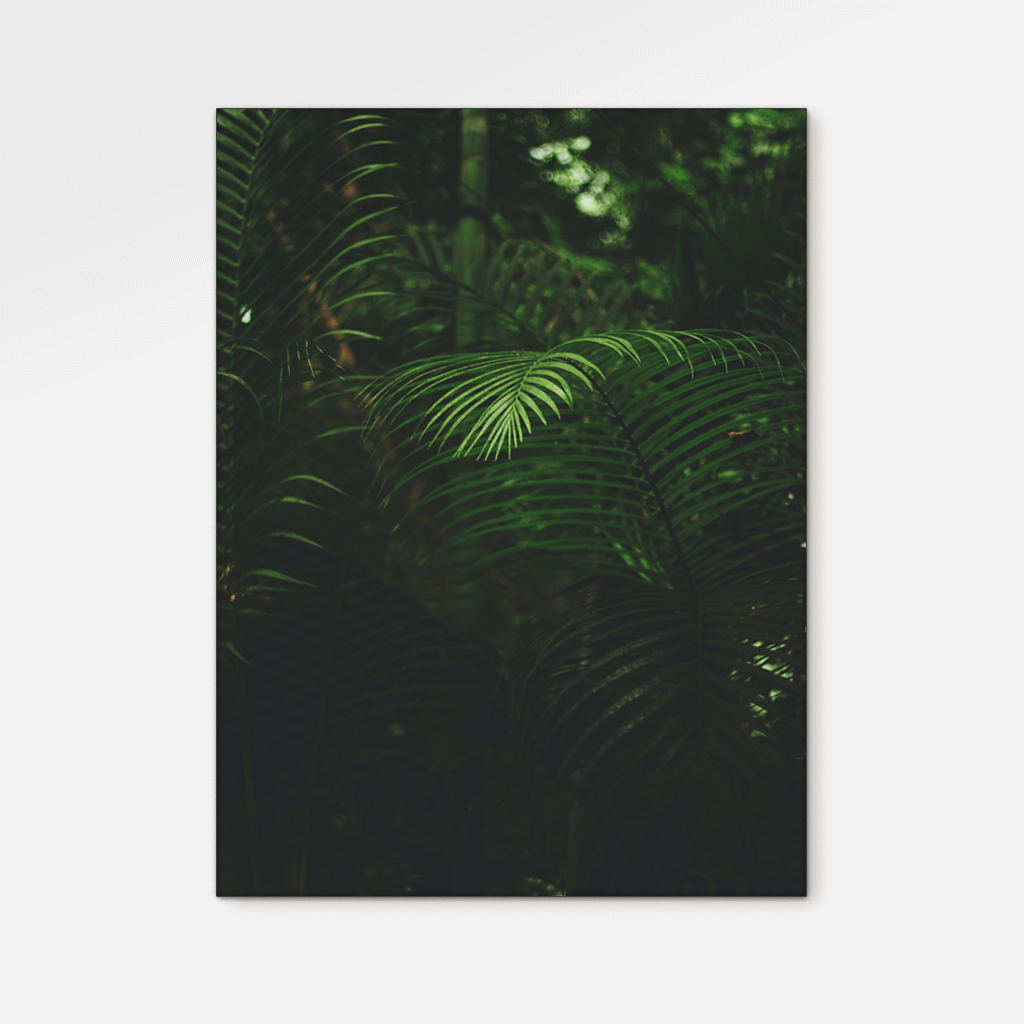 Forest : Three