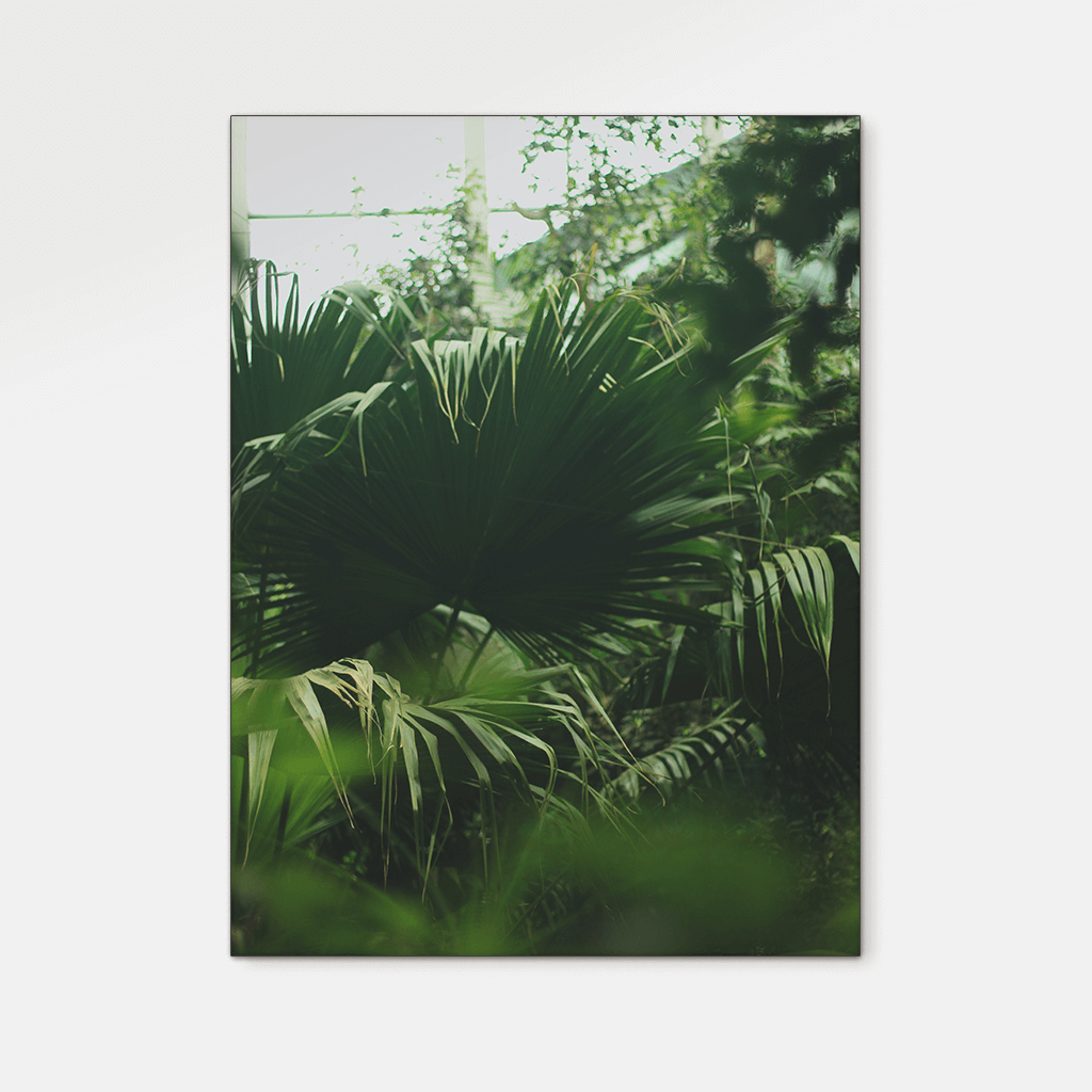 Forest : Four