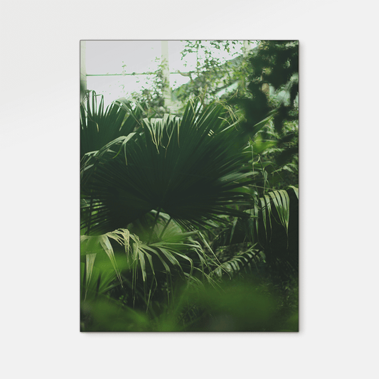Forest : Four