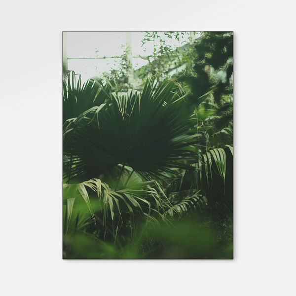 Forest : Four