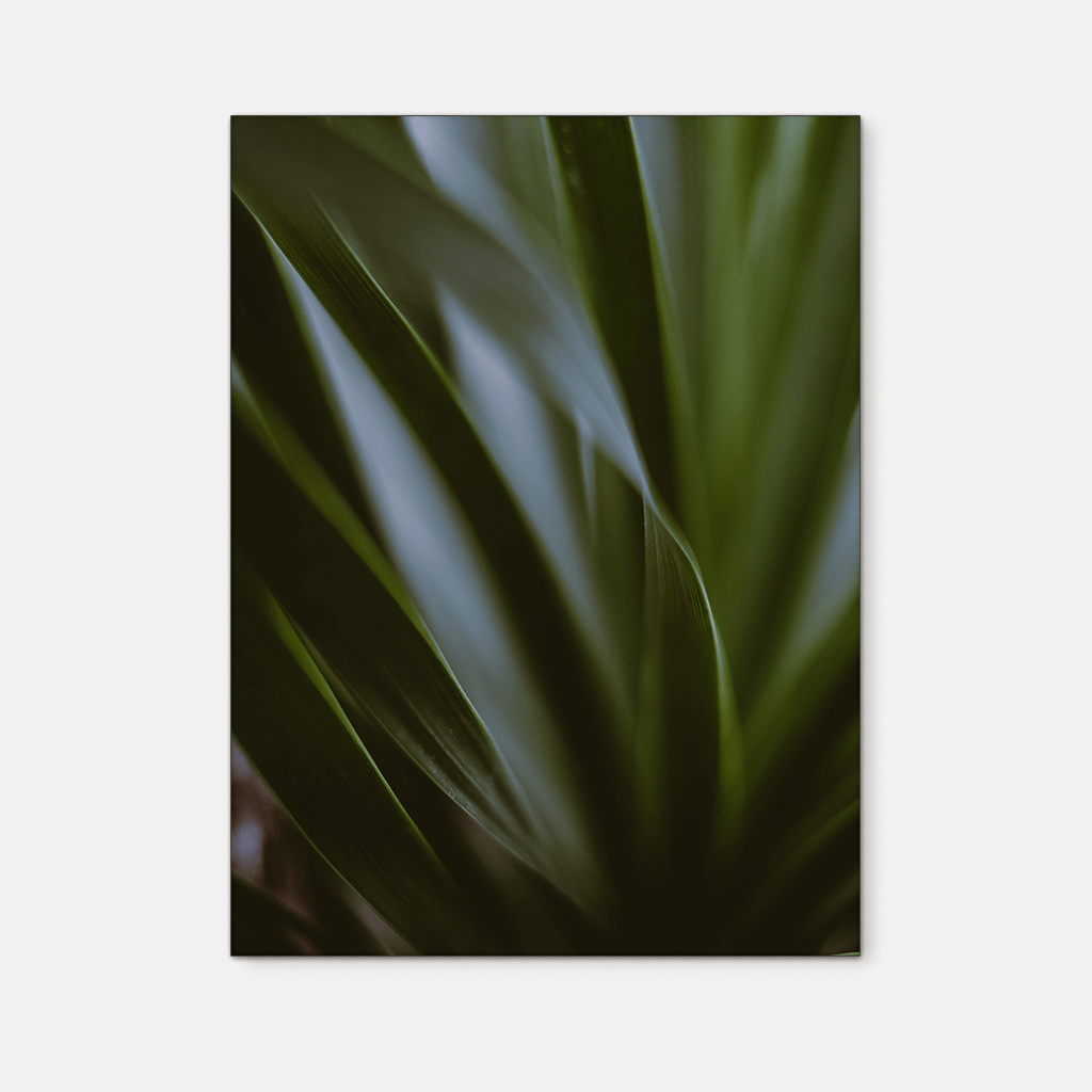 Leaves : Four