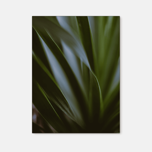Leaves : Four