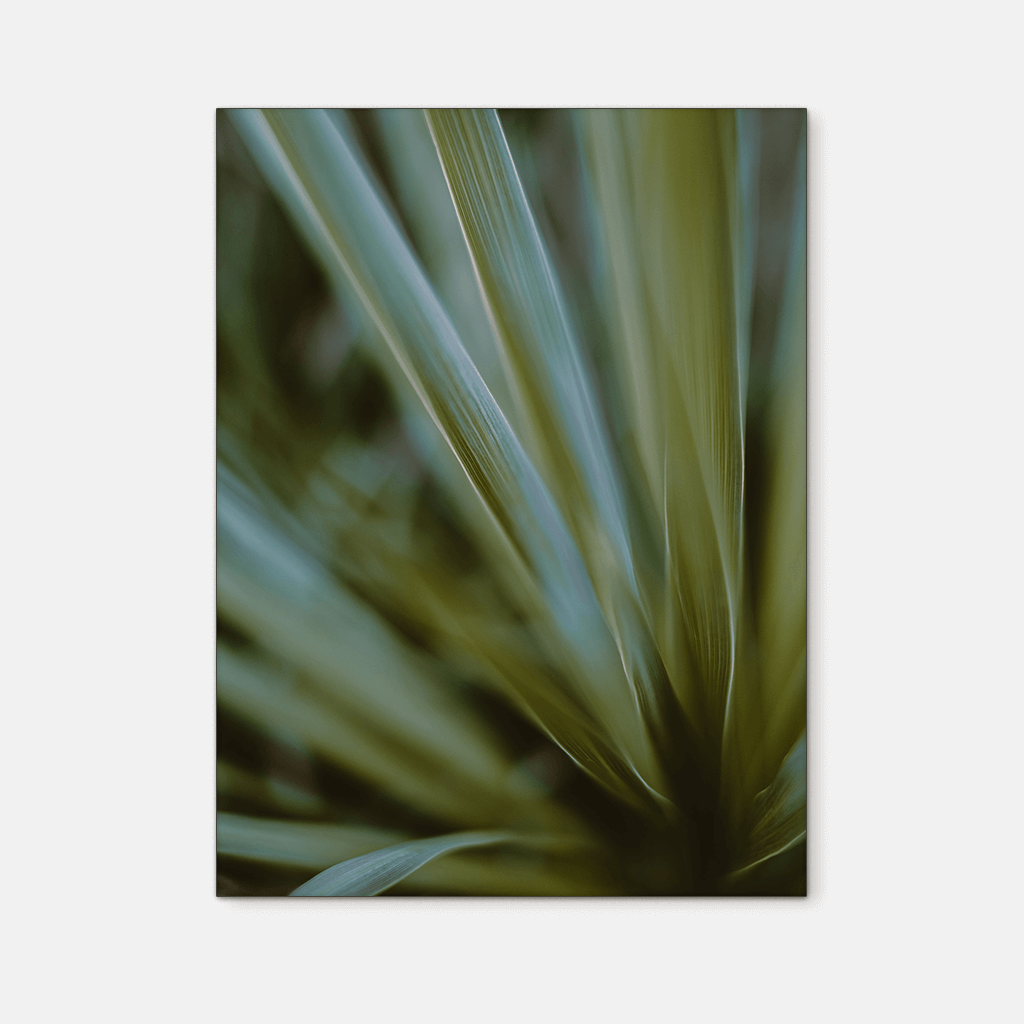 Leaves : Three