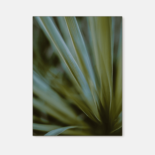 Leaves : Three