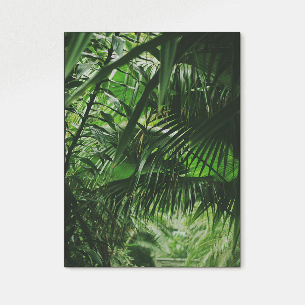 Forest : Two