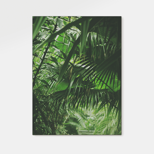 Forest : Two